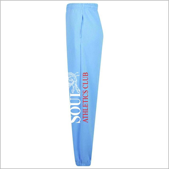 Women's Noble Soar Fluffy Sweatsuits (Sky Blue)