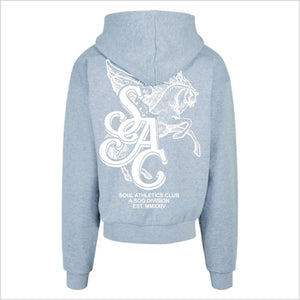 Soul Ova Gold Clothing Sky Runner Heather Grey Ultra Heavy Hoodie Sky Runner Heather Grey Ultra Heavy Hoodie